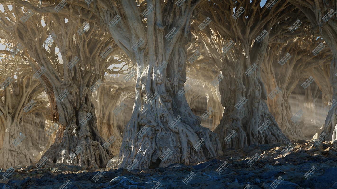 images/goods_img/202104022/Dragon Forest/3.jpg